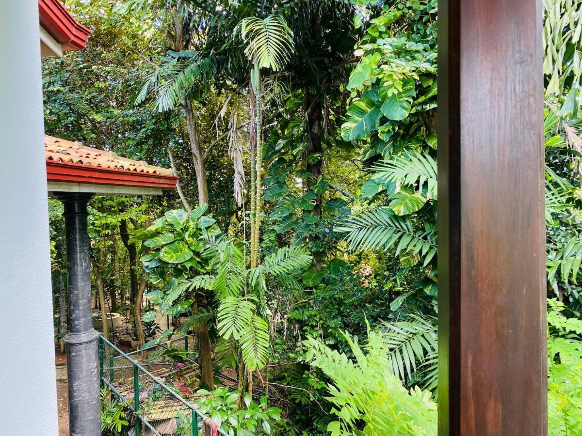 Nature Will Ahangama Luaran gambar