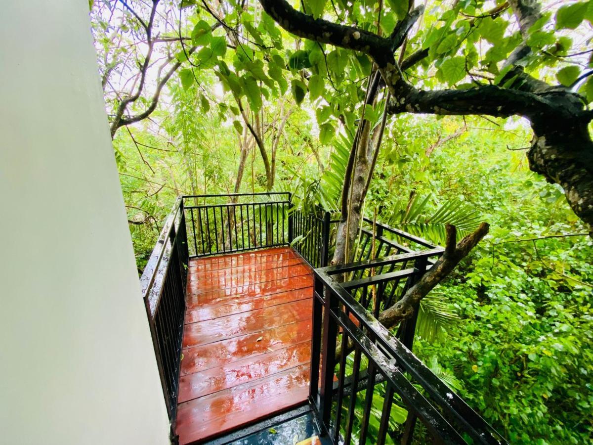 Nature Will Ahangama Luaran gambar